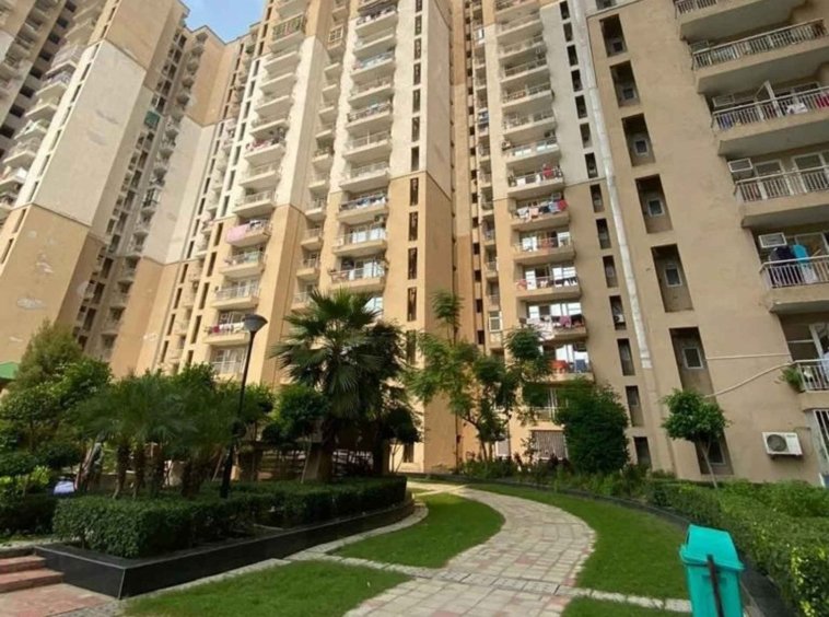 Nirala Greenshire
