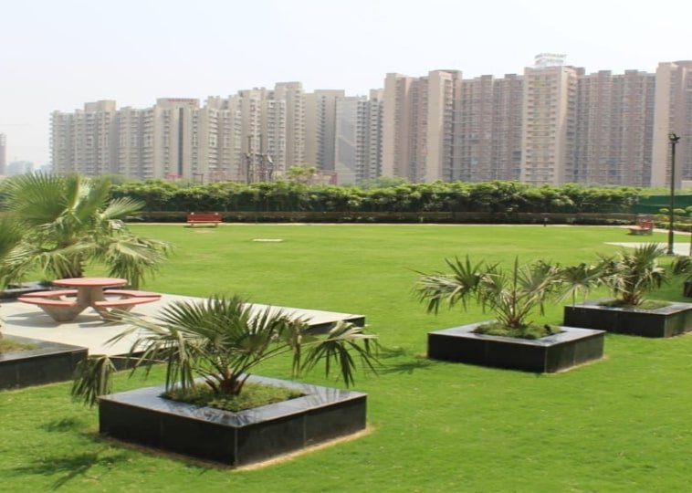 Nirala Greenshire